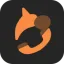 Dingo