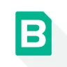 ByteSIM logo