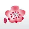 China Airlines